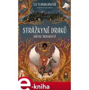 Strážkyně draků: Město tajemství - Liz Flanaganová e-kniha