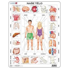 Puzzle - Naše tělo 35 dílků