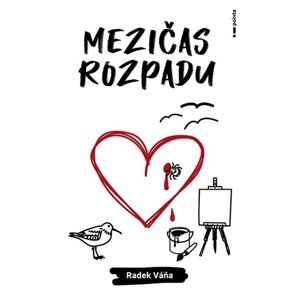 Mezičas rozpadu