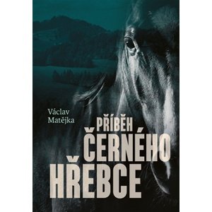 Příběh černého hřebce